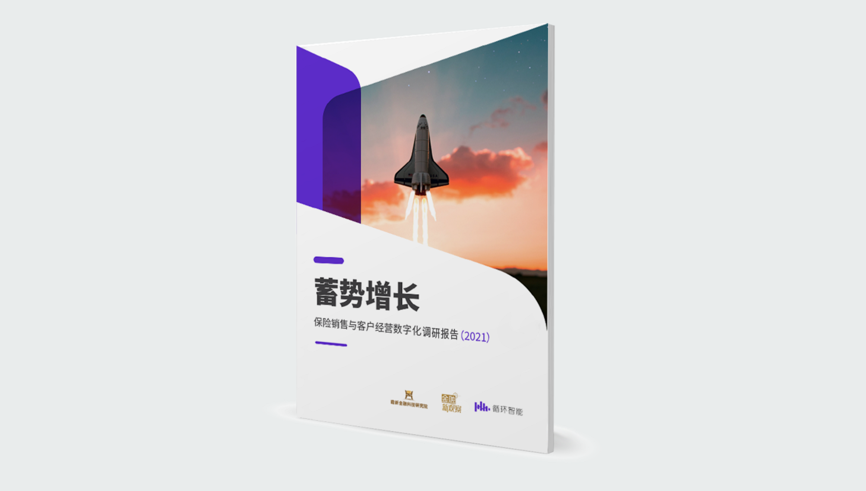 保險調研報告2021-灰底.png